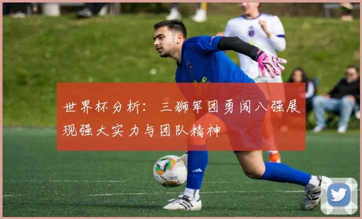 世界杯分析：三狮军团勇闯八强展现强大实力与团队精神